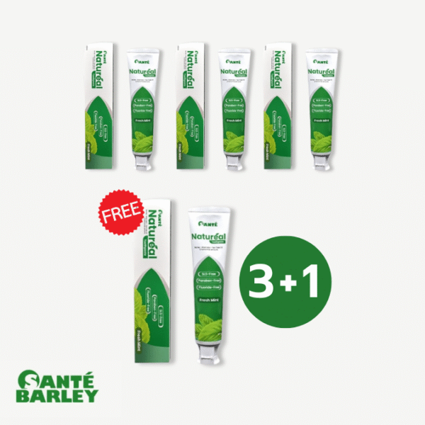 3+1 Natureal Toothpaste 100ml