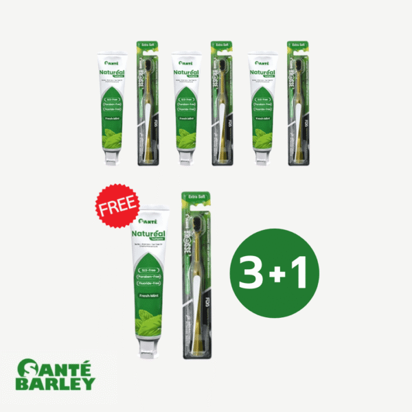 3+1 Natureal Toothpaste 100ml With Brosse Toothbrush