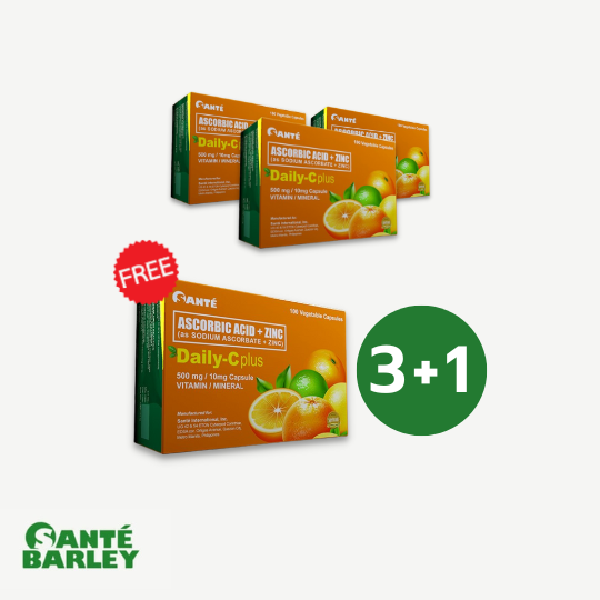 3+1 Daily C Plus