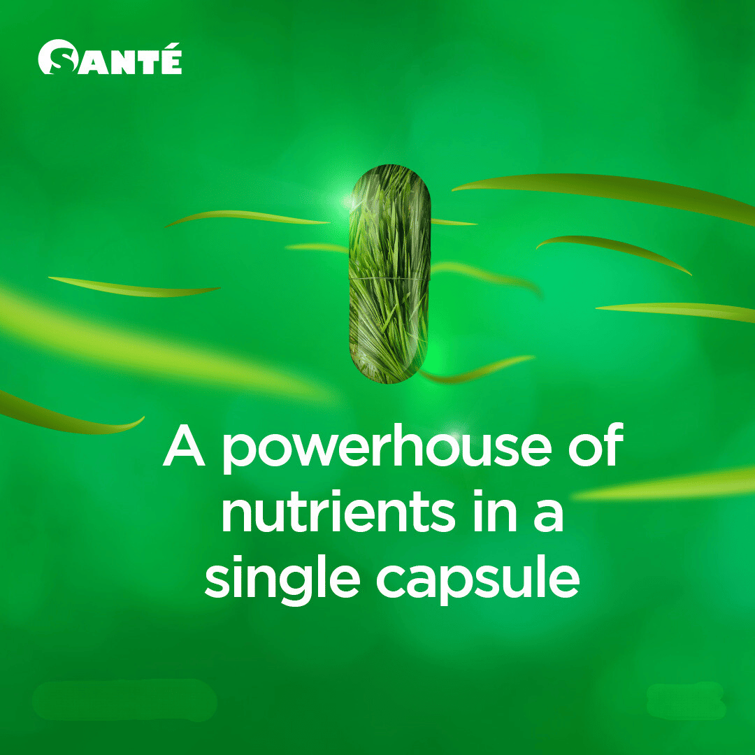 Santé Barley Capsule - Image 3